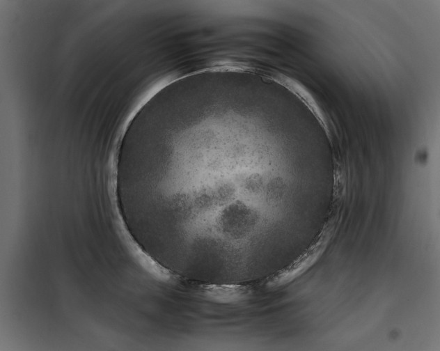 X0000100860859200806201215