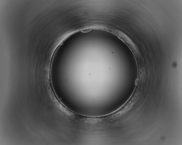 X0000100860860200806201215