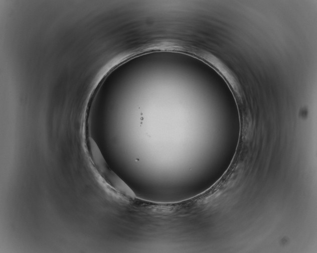 X0000100860861200806201215