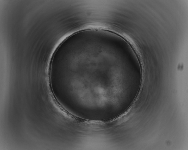 X0000100860864200806201215