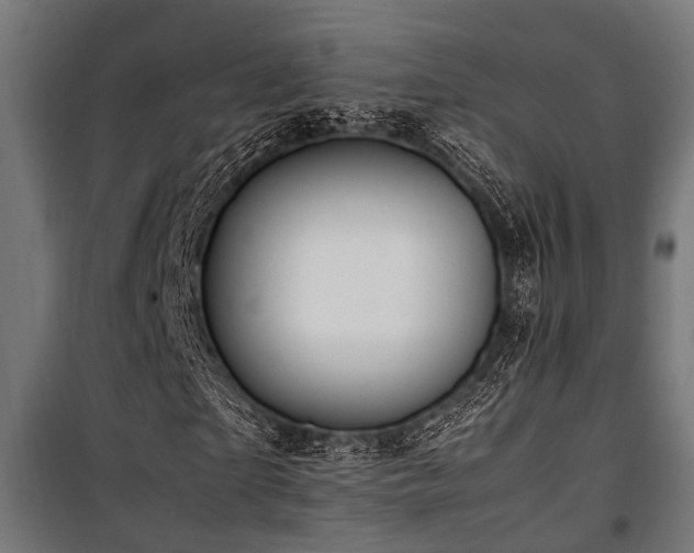 X0000100860865200806201215