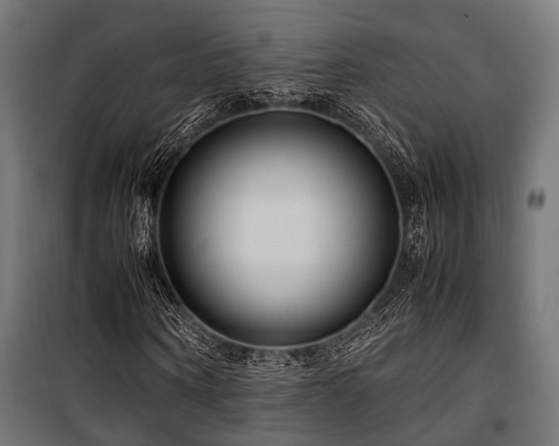 X0000100860866200806201215