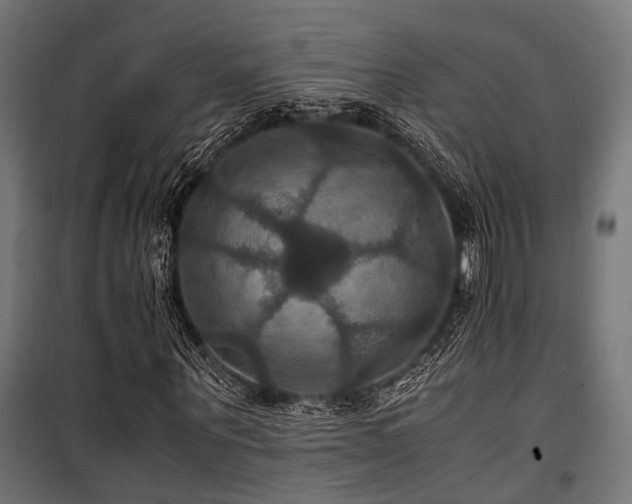 X0000100860867200806201215