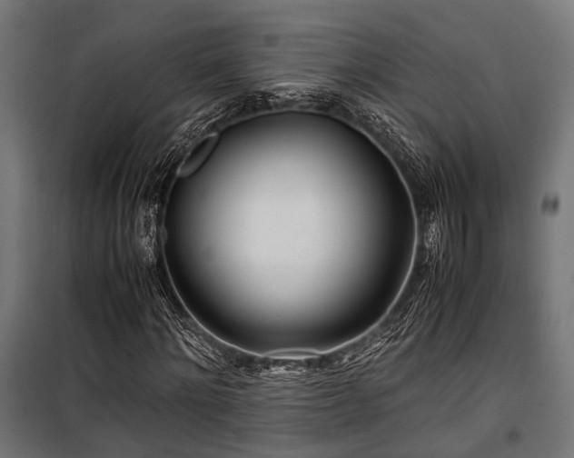 X0000100860868200806201215