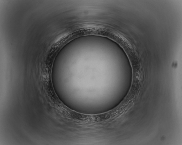 X0000100860869200806201215