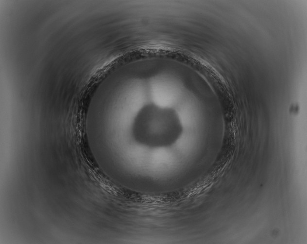 X0000100860870200806201215