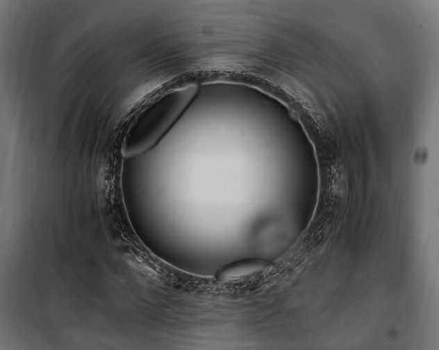 X0000100860872200806201215