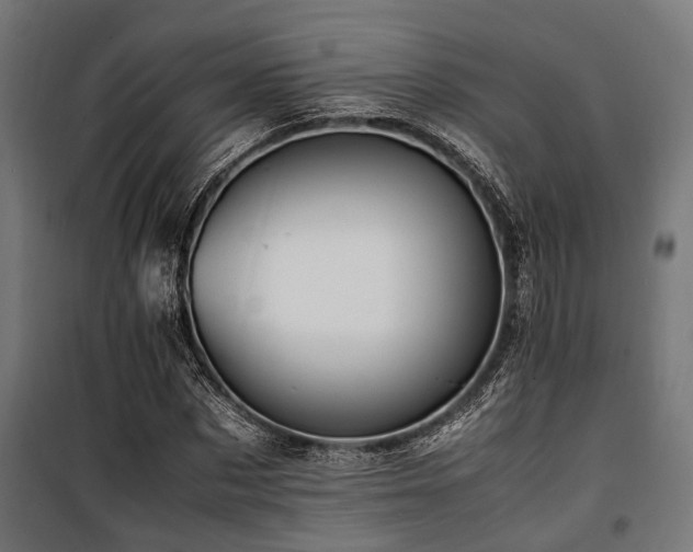 X0000100860873200806201215