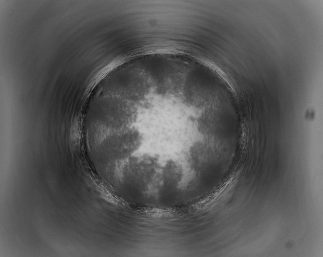 X0000100860874200806201214