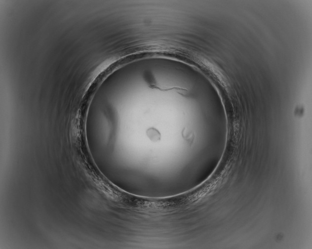 X0000100860875200806201214