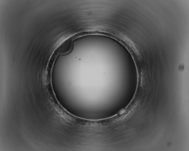 X0000100860876200806201214