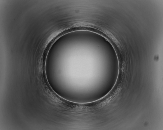 X0000100860877200806201214