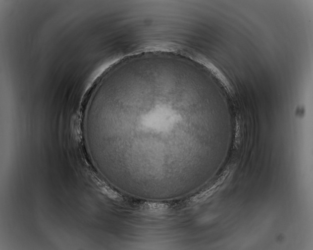 X0000100860878200806201214