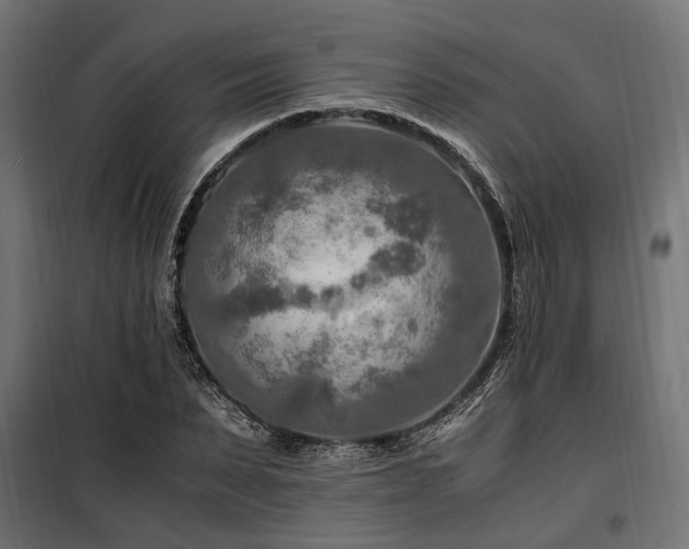 X0000100860879200806201214