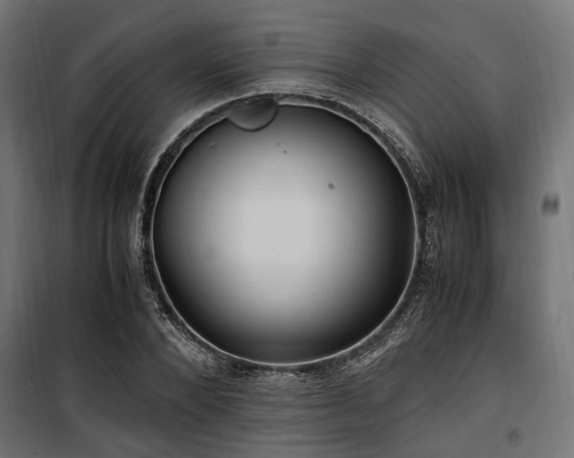 X0000100860880200806201214