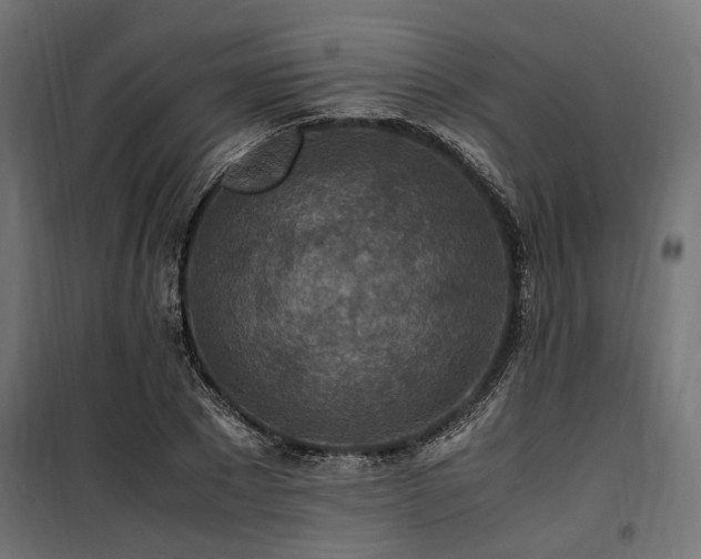 X0000100860881200806201214