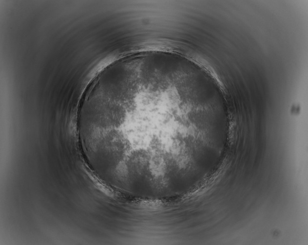 X0000100860882200806201214