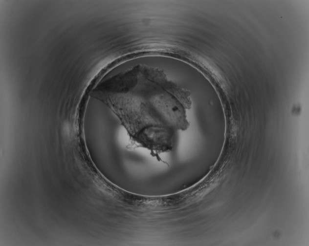 X0000100860883200806201214