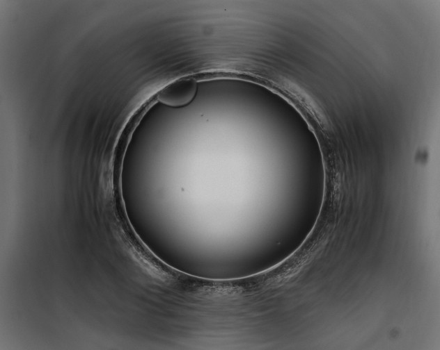 X0000100860884200806201214