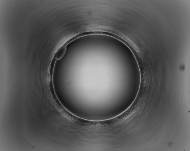 X0000100860885200806201214