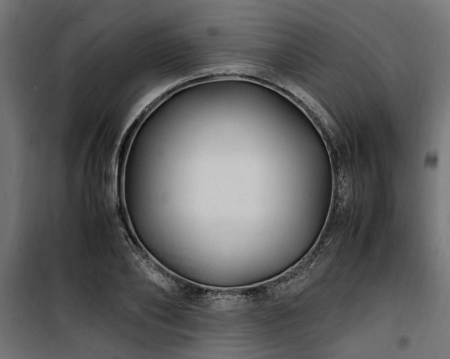 X0000100860886200806201214