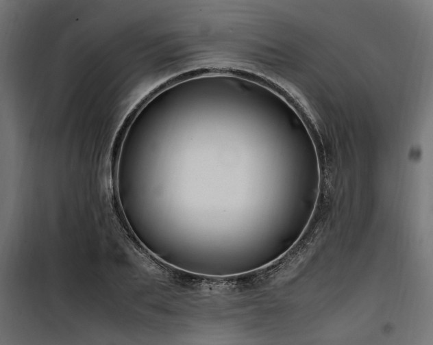 X0000100860887200806201214