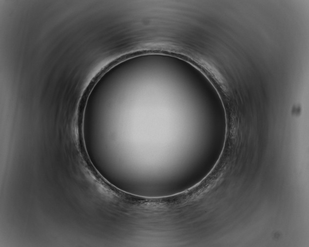 X0000100860888200806201214