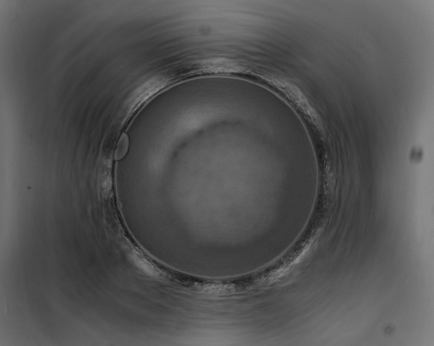 X0000100860889200806201214