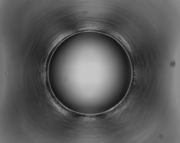 X0000100860890200806201214