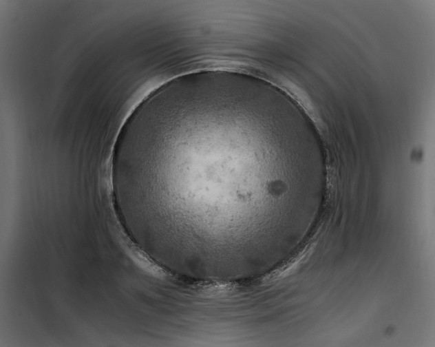 X0000100860891200806201214