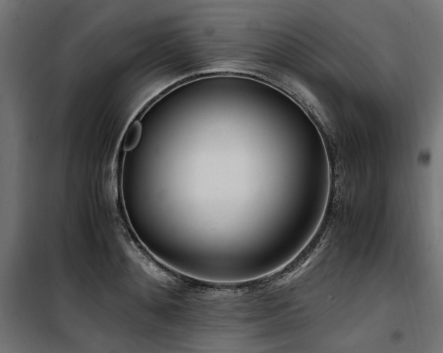 X0000100860892200806201214