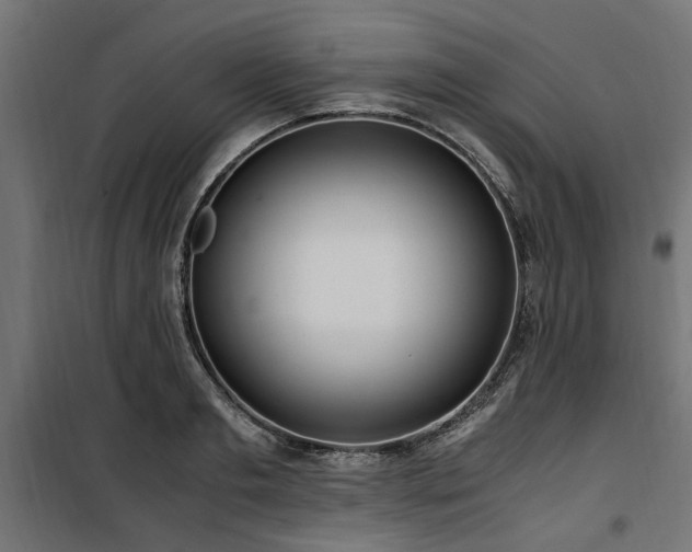 X0000100860893200806201214