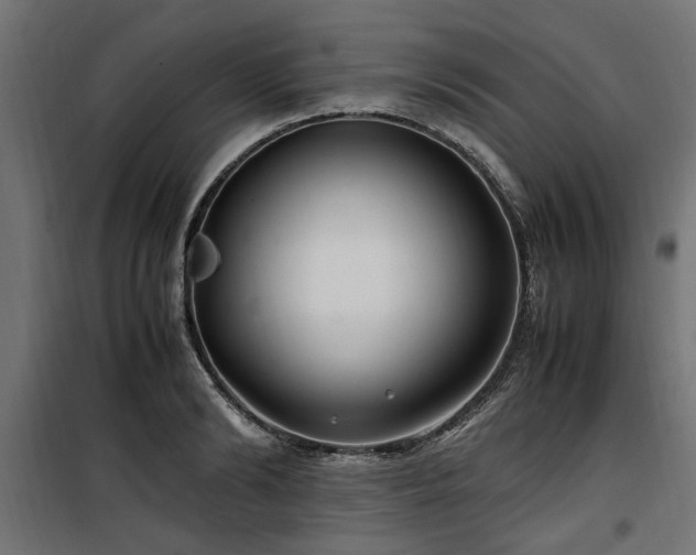 X0000100860894200806201214