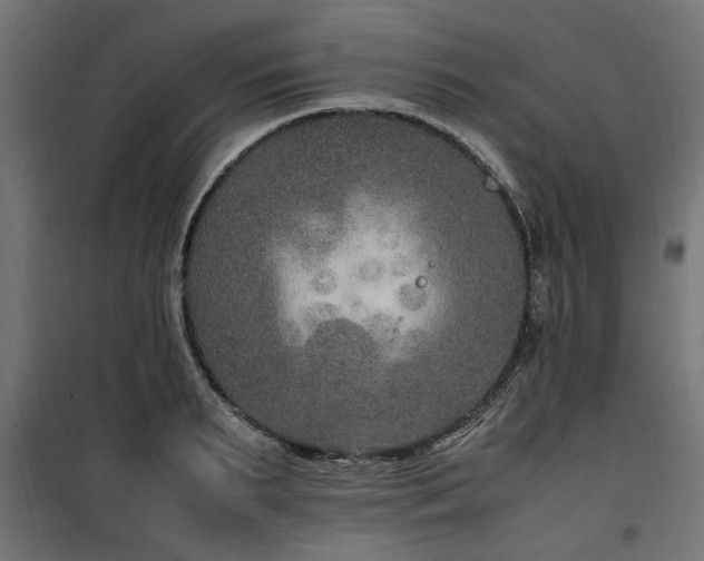 X0000100860895200806201214