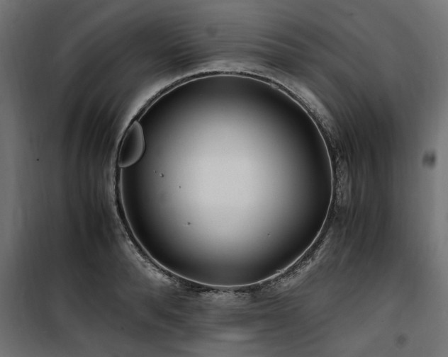 X0000100860896200806201214