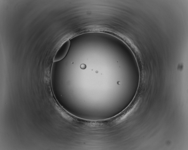 X0000100860897200806201214