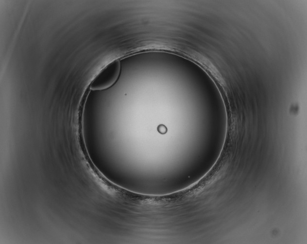 X0000100860898200806201214