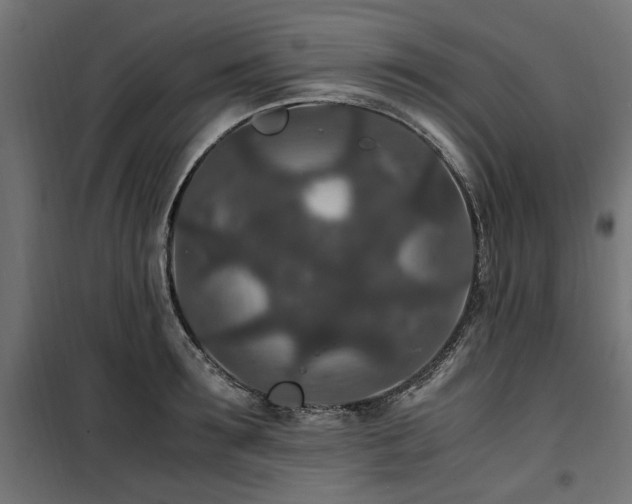 X0000100860899200806201214