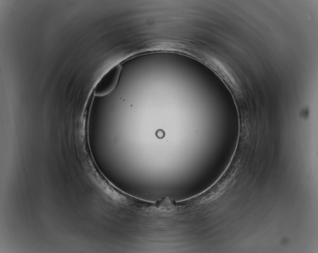 X0000100860900200806201214