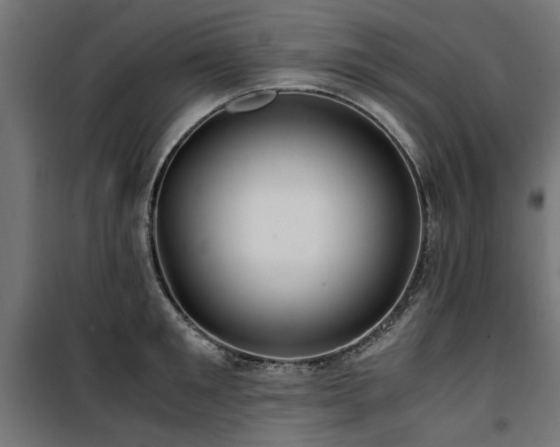 X0000100860901200806201214