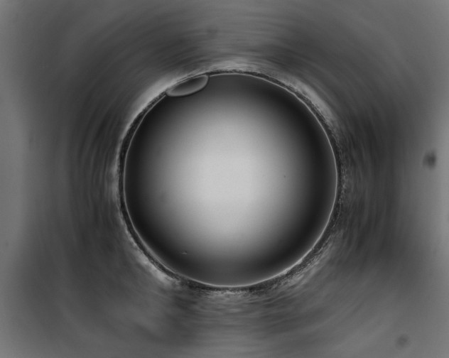 X0000100860902200806201214