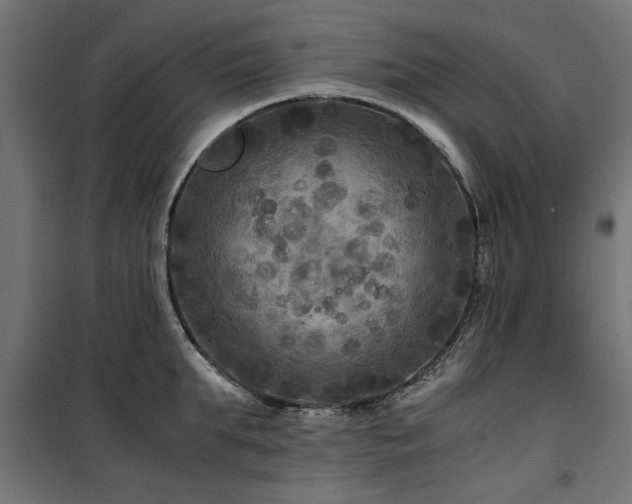 X0000100860903200806201214