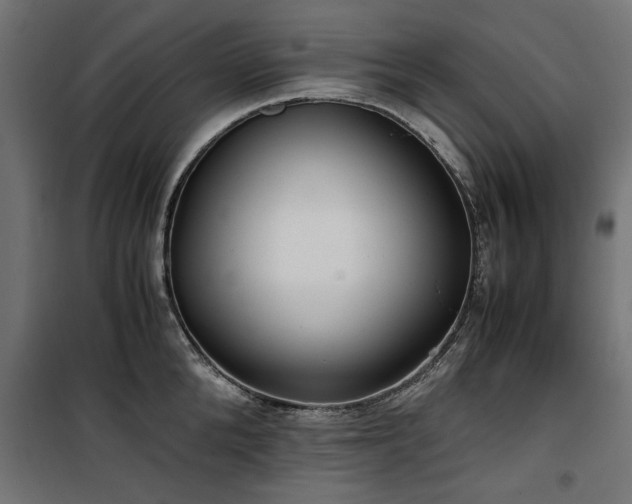 X0000100860904200806201214