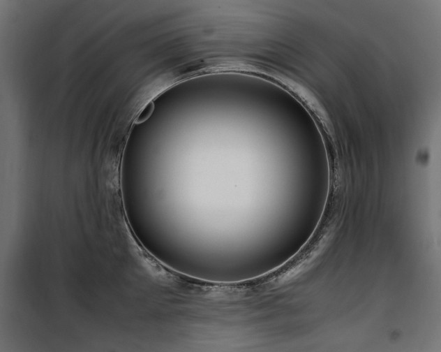 X0000100860905200806201214