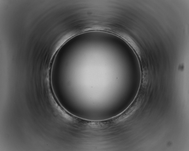 X0000100860906200806201214