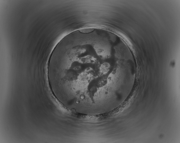 X0000100860907200806201214