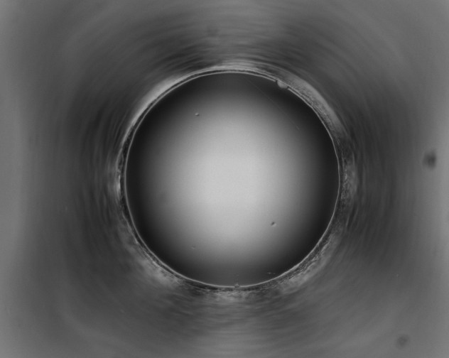 X0000100860908200806201214