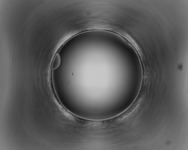 X0000100860909200806201214