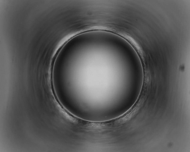 X0000100860910200806201214