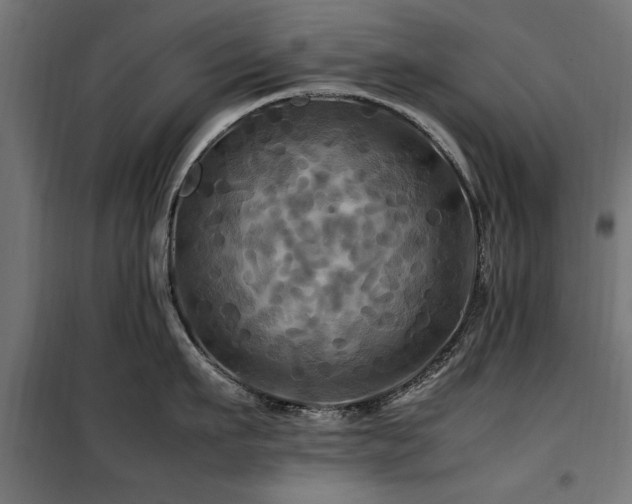 X0000100860911200806201214